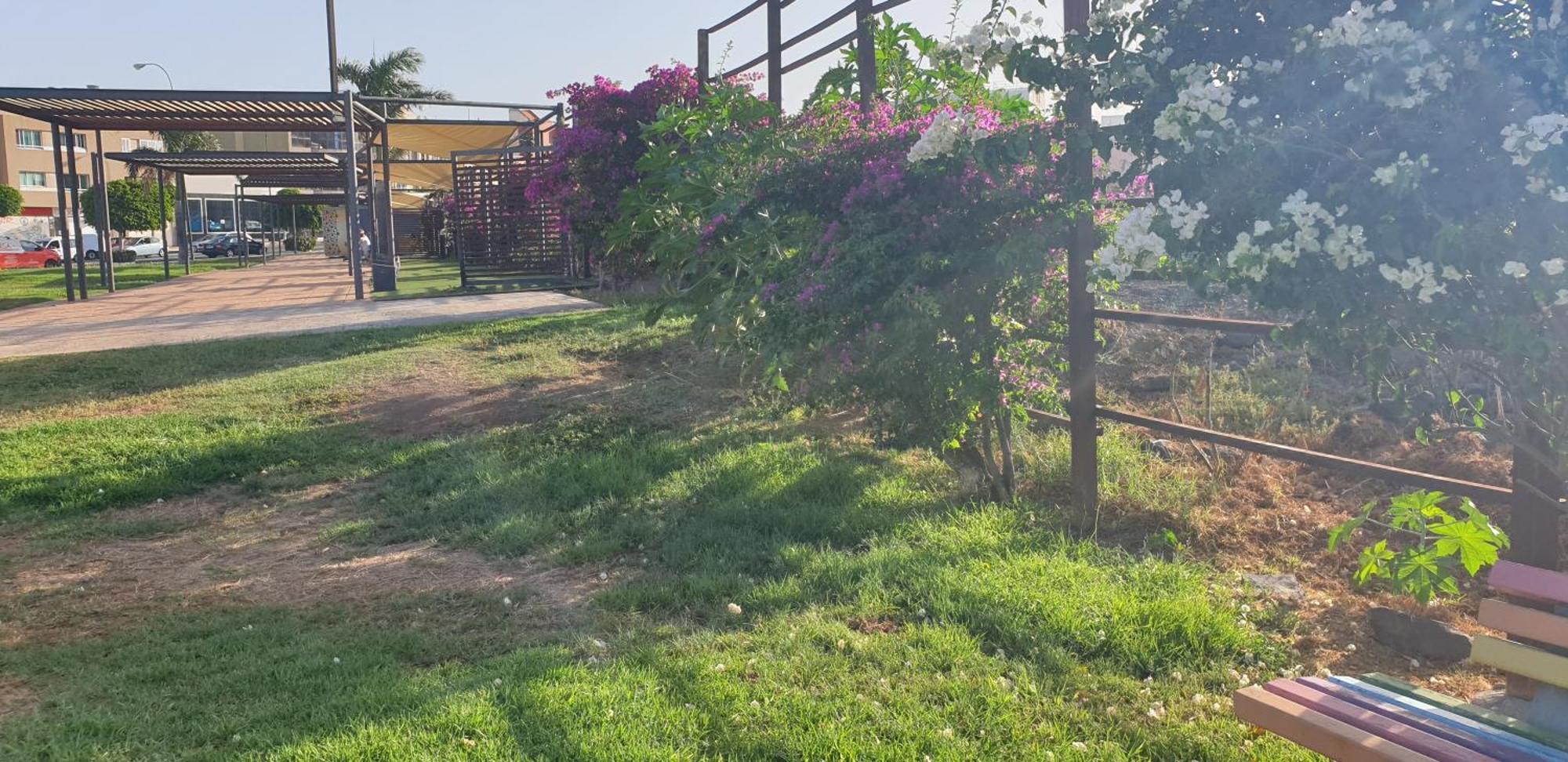 Ferienwohnung Atico Carrizal Exterior foto